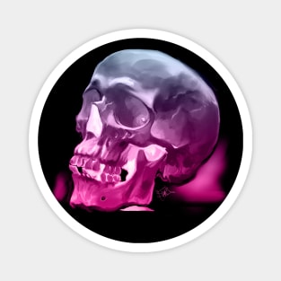 Skull Study 3 Magnet